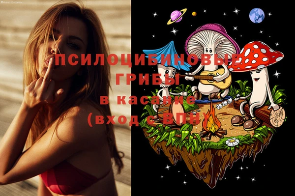 не бодяженный Алексин