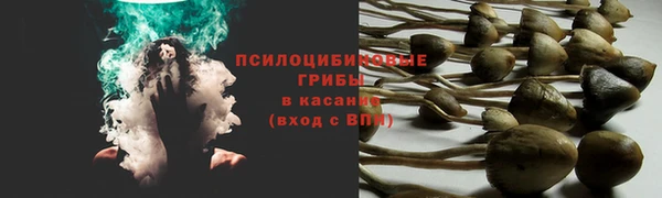 молекула духа Алзамай