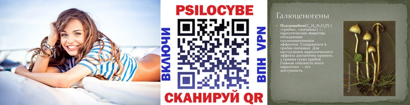 Псилоцибиновые грибы мухоморы  Курчалой 